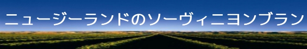 NZ　SBページバナー
