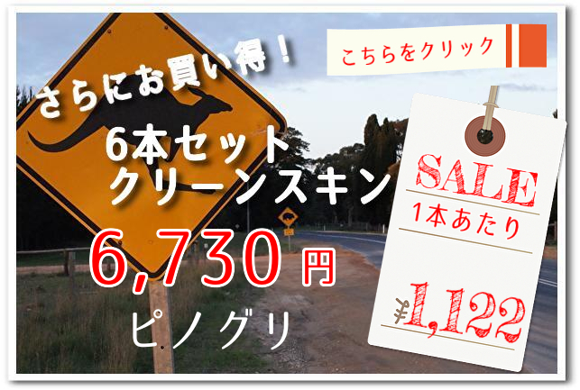 クリーンスキンバナー PG6本セット2022