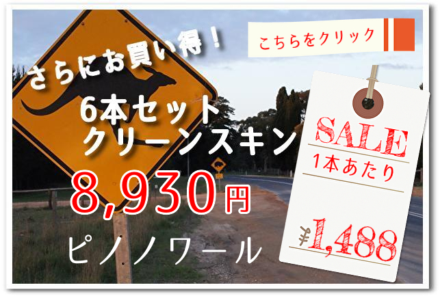 クリーンスキンバナー PN6本セット2022