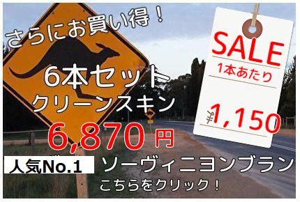 クリーンスキンバナー SB6本セット2022