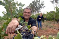 Ceravolo Joe&Heather at harvest