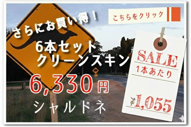 クリーンスキンバナー CH6本セット2022