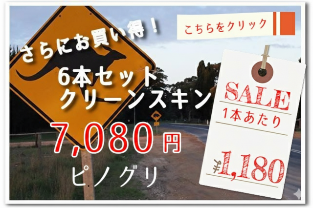 クリーンスキンバナー PG6本セット2022
