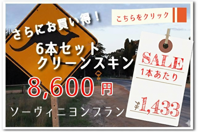 クリーンスキンバナー SB6本セット2022
