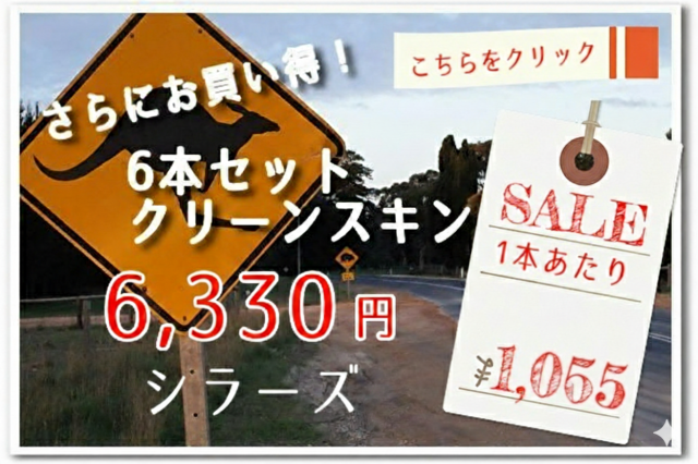 クリーンスキンバナー SZ6本セット2022