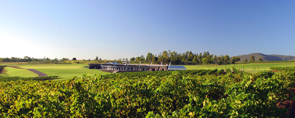 テンパスツー ワイナリー